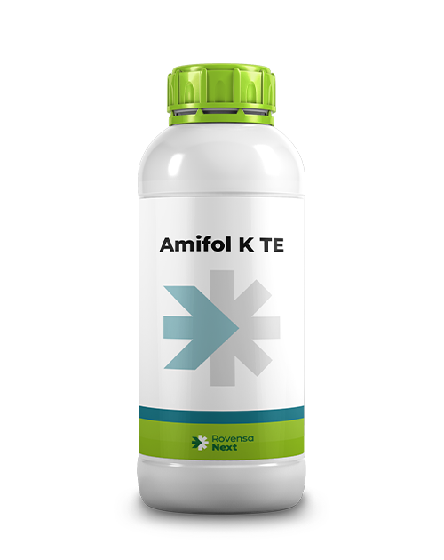 AMIFOL K TE_1L_website