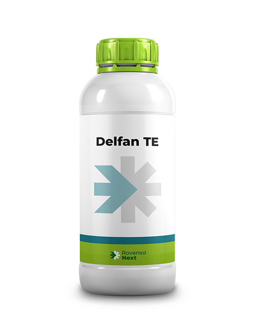 DELFAN TE_1L_WEBSITE RENDER