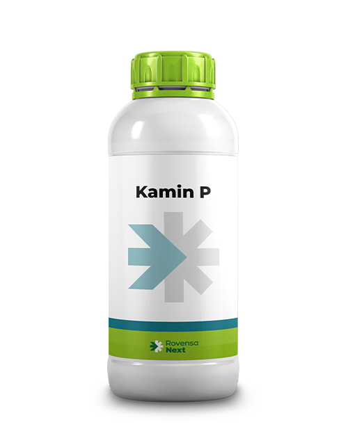 KAMIN P_1L_WEBSITE RENDER