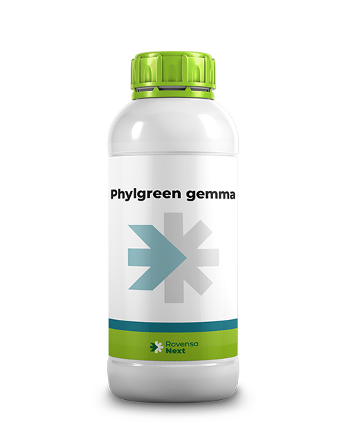 PHYLGREEN GEMMA_1L_WEBSITE RENDER