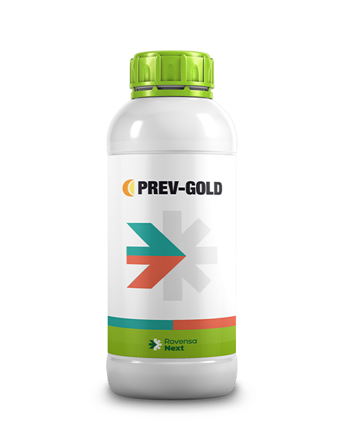PREV-GOLD_1L_website